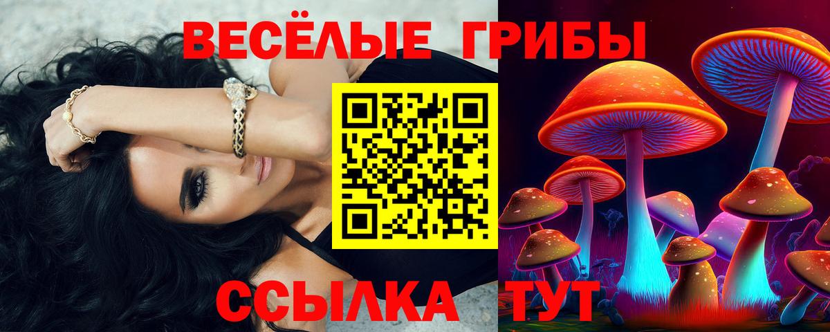 Галлюциногенные грибы мухоморы Губкин